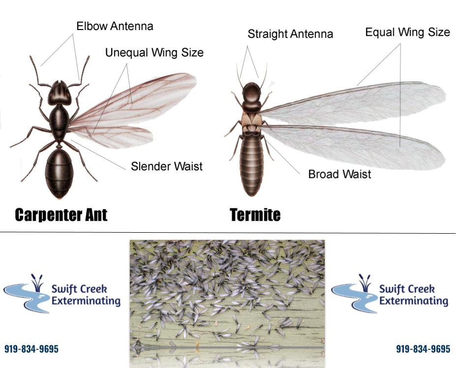 No photo description available.